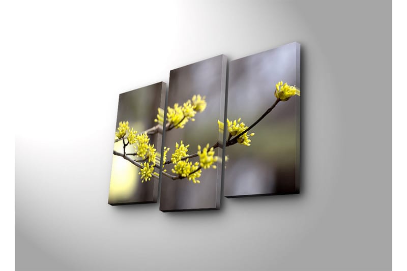 Koristeellinen Led Valaistu Canvas Taulu (3 kpl) - Sisustustuotteet - Taulu & taide - Canvas-taulu