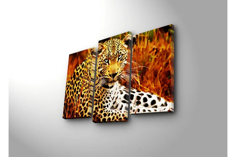 Koristeellinen Led Valaistu Canvas Taulu (3 kpl) - Sisustustuotteet - Taulu & taide - Canvas-taulu