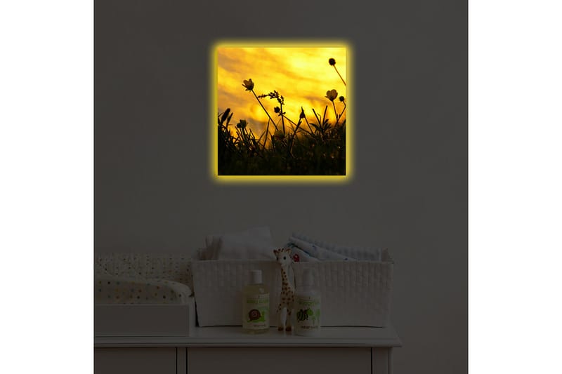 Koristeellinen Led valaistu Canvas Taulu - Sisustustuotteet - Taulu & taide - Canvas-taulu