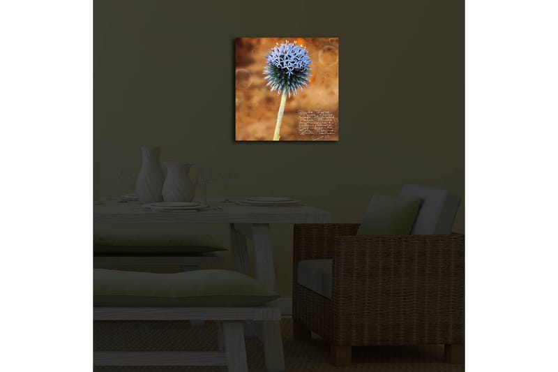 Koristeellinen Led valaistu Canvas Taulu - Sisustustuotteet - Taulu & taide - Canvas-taulu