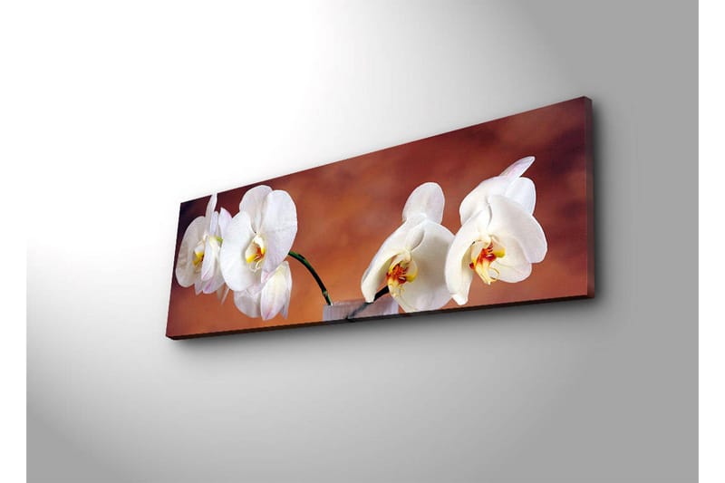 Koristeellinen Led valaistu Canvas Taulu - Sisustustuotteet - Taulu & taide - Canvas-taulu