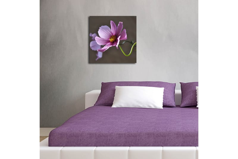 Koristeellinen Led valaistu Canvas Taulu - Sisustustuotteet - Taulu & taide - Canvas-taulu