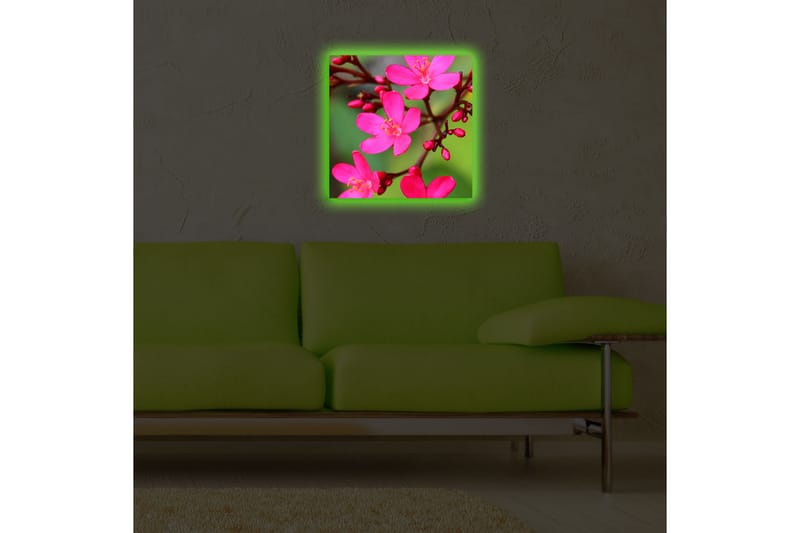Koristeellinen Led valaistu Canvas Taulu - Sisustustuotteet - Taulu & taide - Canvas-taulu