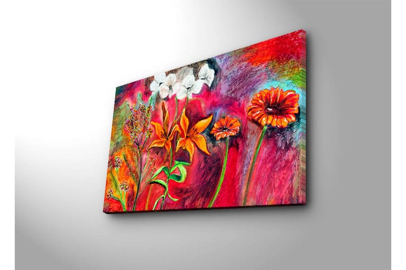 Koristeellinen Led valaistu Canvas Taulu - Sisustustuotteet - Taulu & taide - Canvas-taulu