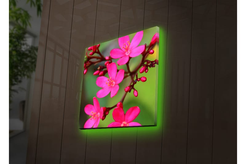 Koristeellinen Led valaistu Canvas Taulu - Sisustustuotteet - Taulu & taide - Canvas-taulu