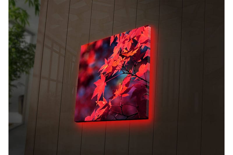 Koristeellinen Led valaistu Canvas Taulu - Sisustustuotteet - Taulu & taide - Canvas-taulu