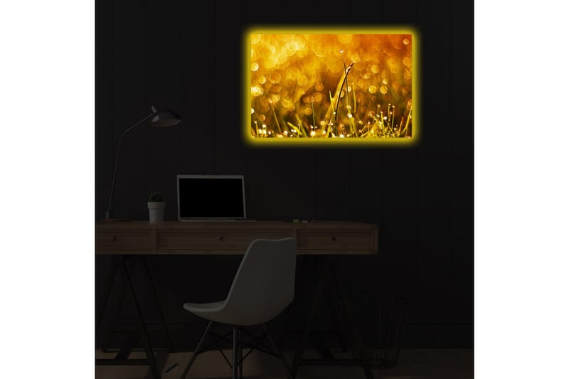 Koristeellinen Led valaistu Canvas Taulu - Sisustustuotteet - Taulu & taide - Canvas-taulu