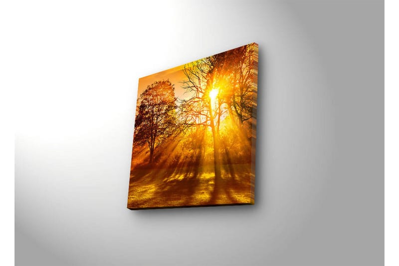 Koristeellinen Led valaistu Canvas Taulu - Sisustustuotteet - Taulu & taide - Canvas-taulu
