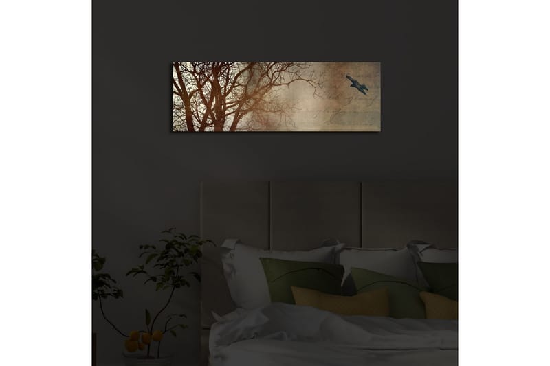 Koristeellinen Led valaistu Canvas Taulu - Sisustustuotteet - Taulu & taide - Canvas-taulu