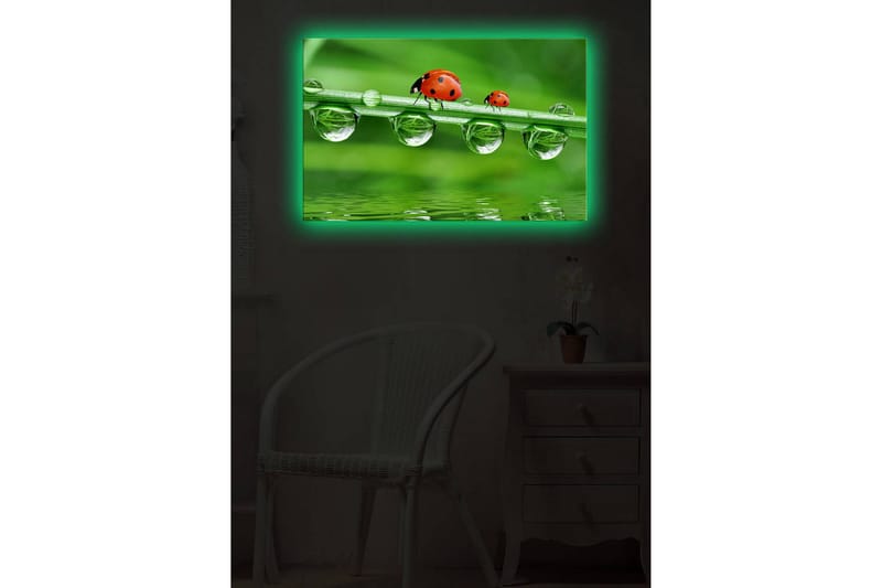 Koristeellinen Led valaistu Canvas Taulu - Sisustustuotteet - Taulu & taide - Canvas-taulu
