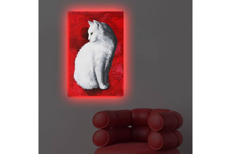 Koristeellinen Led valaistu Canvas Taulu - Sisustustuotteet - Taulu & taide - Canvas-taulu