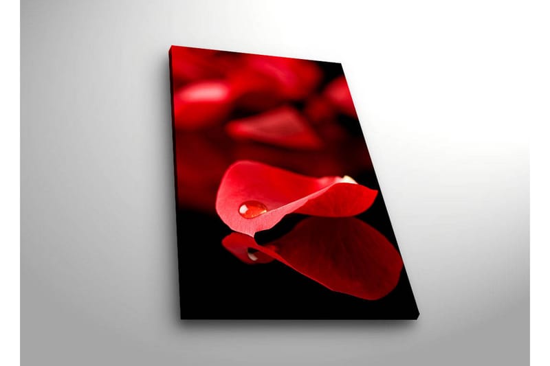 Koristeellinen Led valaistu Canvas Taulu - Sisustustuotteet - Taulu & taide - Canvas-taulu