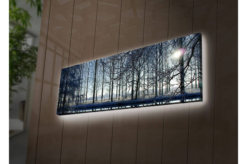Koristeellinen Led valaistu Canvas Taulu - Sisustustuotteet - Taulu & taide - Canvas-taulu