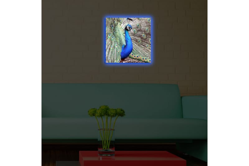 Koristeellinen Led valaistu Canvas Taulu - Sisustustuotteet - Taulu & taide - Canvas-taulu