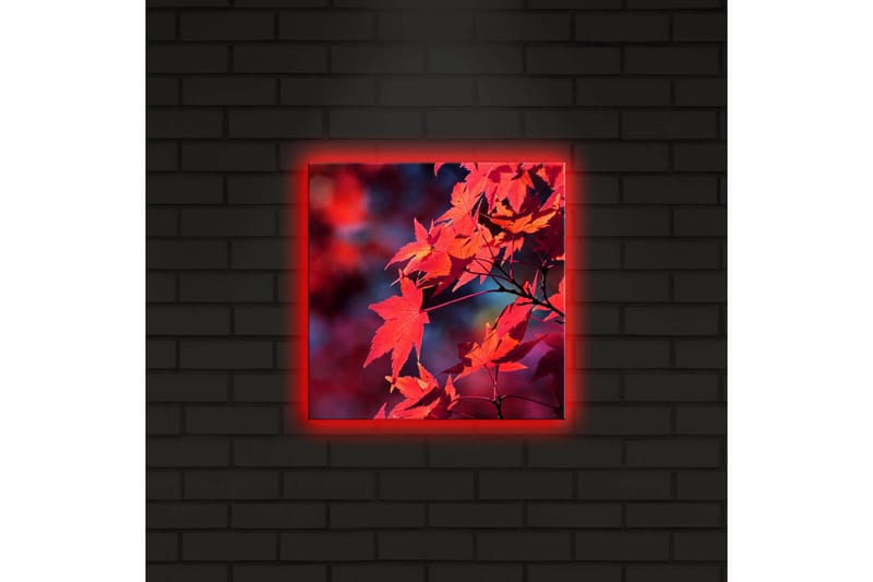 Koristeellinen Led valaistu Canvas Taulu - Sisustustuotteet - Taulu & taide - Canvas-taulu