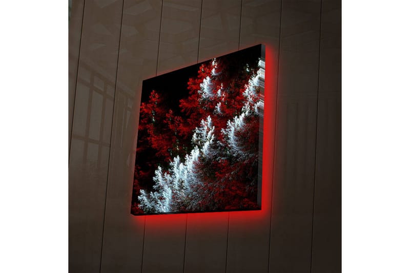 Koristeellinen Led valaistu Canvas Taulu - Sisustustuotteet - Taulu & taide - Canvas-taulu
