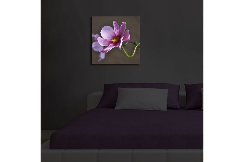 Koristeellinen Led valaistu Canvas Taulu - Sisustustuotteet - Taulu & taide - Canvas-taulu