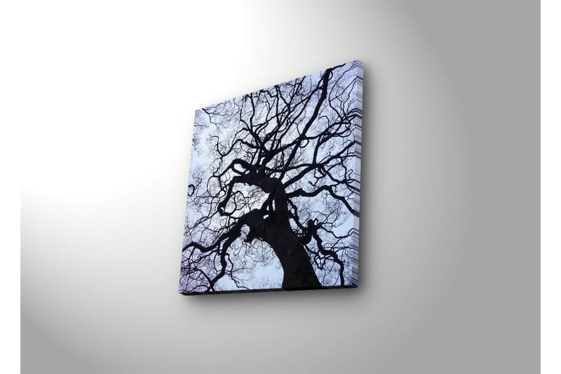 Koristeellinen Led valaistu Canvas Taulu - Sisustustuotteet - Taulu & taide - Canvas-taulu