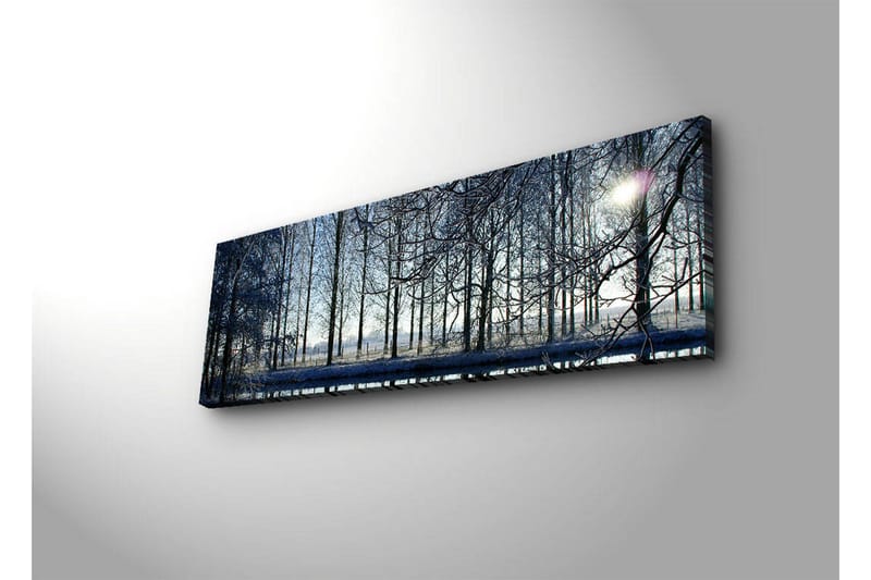 Koristeellinen Led valaistu Canvas Taulu - Sisustustuotteet - Taulu & taide - Canvas-taulu