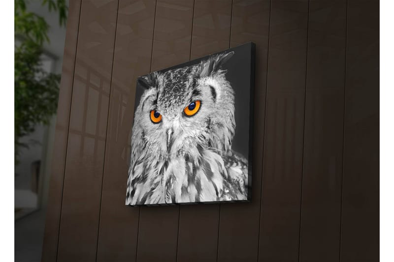 Koristeellinen Led valaistu Canvas Taulu - Sisustustuotteet - Taulu & taide - Canvas-taulu