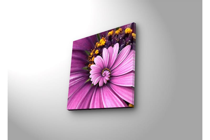 Koristeellinen Led valaistu Canvas Taulu - Sisustustuotteet - Taulu & taide - Canvas-taulu