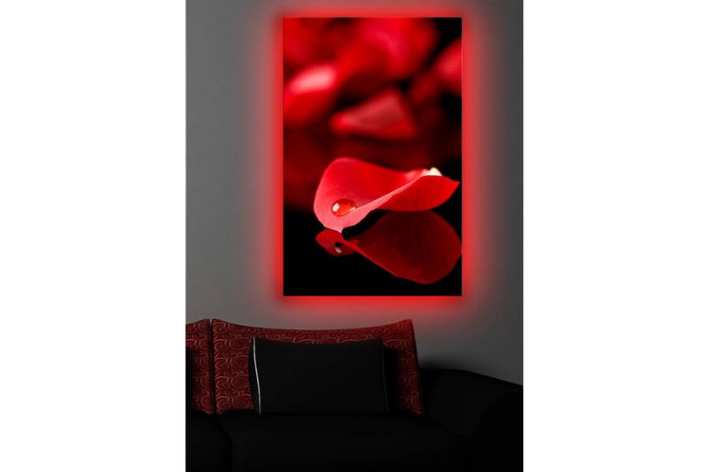 Koristeellinen Led valaistu Canvas Taulu - Sisustustuotteet - Taulu & taide - Canvas-taulu