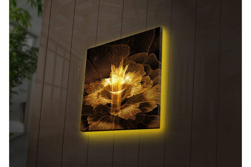 Koristeellinen Led valaistu Canvas Taulu - Sisustustuotteet - Taulu & taide - Canvas-taulu