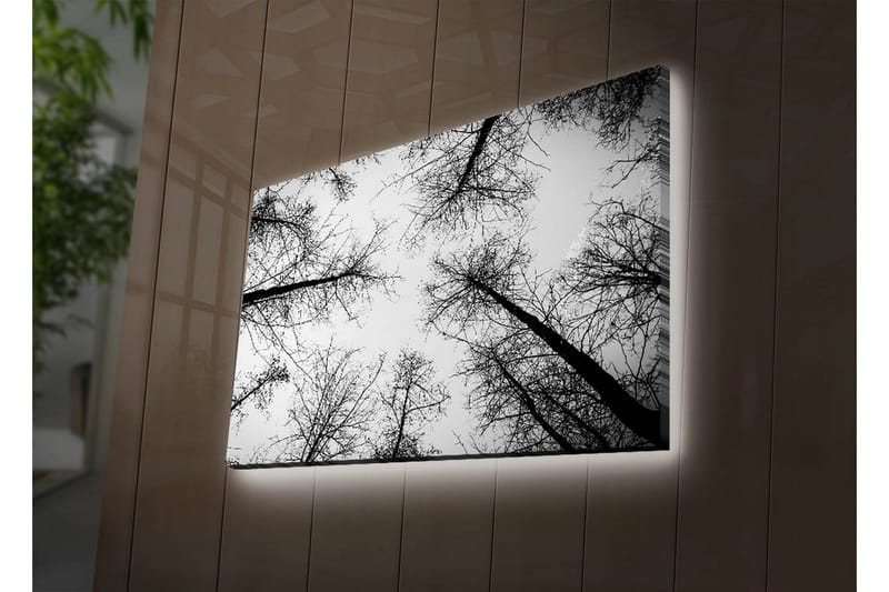Koristeellinen Led valaistu Canvas Taulu - Sisustustuotteet - Taulu & taide - Canvas-taulu