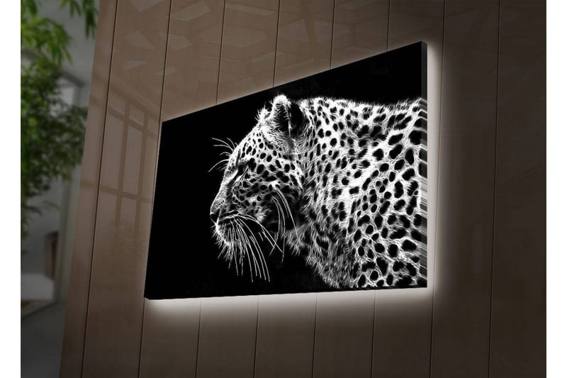 Koristeellinen Led valaistu Canvas Taulu - Sisustustuotteet - Taulu & taide - Canvas-taulu