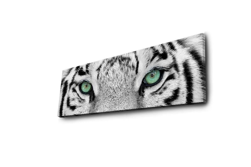 Koristeellinen Led valaistu Canvas Taulu - Sisustustuotteet - Taulu & taide - Canvas-taulu