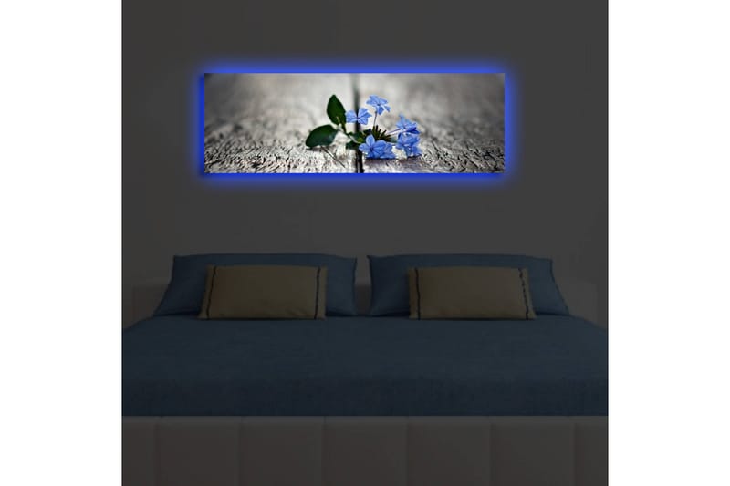 Koristeellinen Led valaistu Canvas Taulu - Sisustustuotteet - Taulu & taide - Canvas-taulu