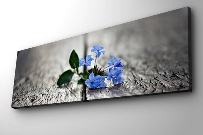 Koristeellinen Led valaistu Canvas Taulu - Sisustustuotteet - Taulu & taide - Canvas-taulu