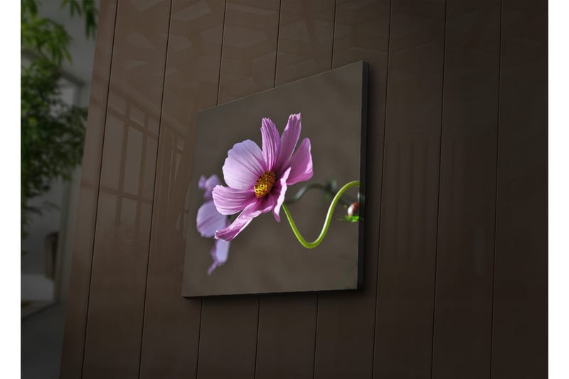 Koristeellinen Led valaistu Canvas Taulu - Sisustustuotteet - Taulu & taide - Canvas-taulu