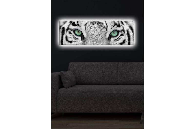 Koristeellinen Led valaistu Canvas Taulu - Sisustustuotteet - Taulu & taide - Canvas-taulu