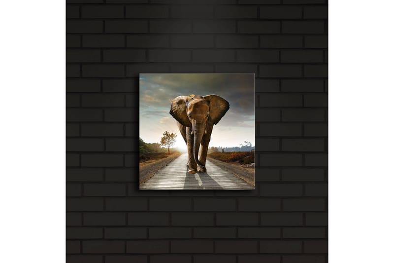 Koristeellinen Led valaistu Canvas Taulu - Sisustustuotteet - Taulu & taide - Canvas-taulu
