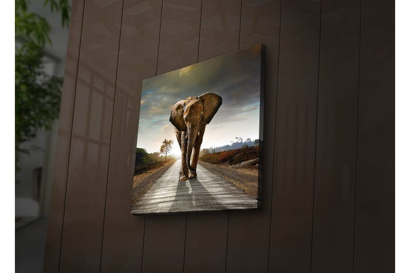 Koristeellinen Led valaistu Canvas Taulu - Sisustustuotteet - Taulu & taide - Canvas-taulu
