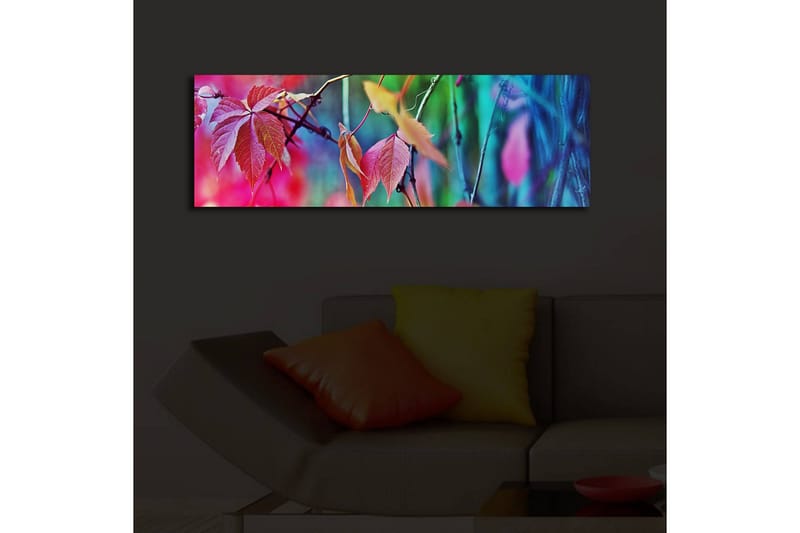 Koristeellinen Led valaistu Canvas Taulu - Sisustustuotteet - Taulu & taide - Canvas-taulu
