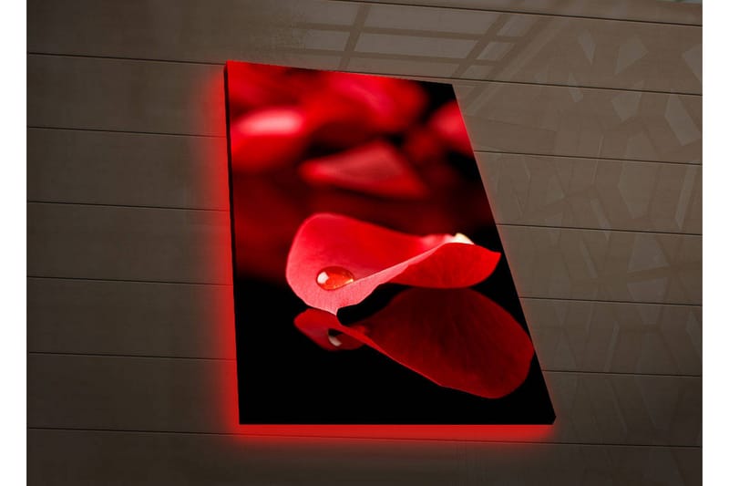 Koristeellinen Led valaistu Canvas Taulu - Sisustustuotteet - Taulu & taide - Canvas-taulu