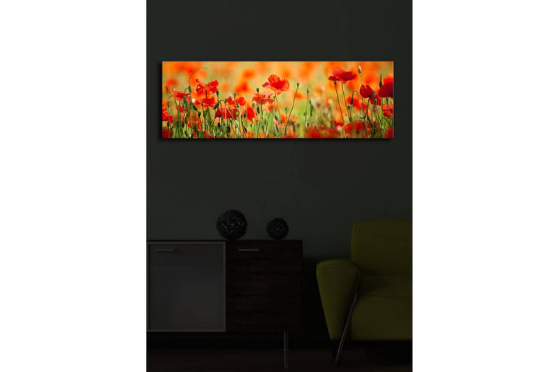 Koristeellinen Led valaistu Canvas Taulu - Sisustustuotteet - Taulu & taide - Canvas-taulu