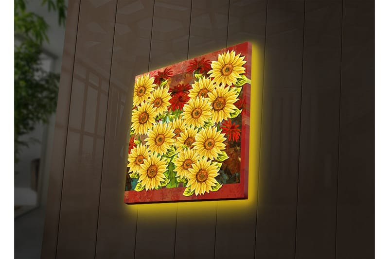 Koristeellinen Led valaistu Canvas Taulu - Sisustustuotteet - Taulu & taide - Canvas-taulu