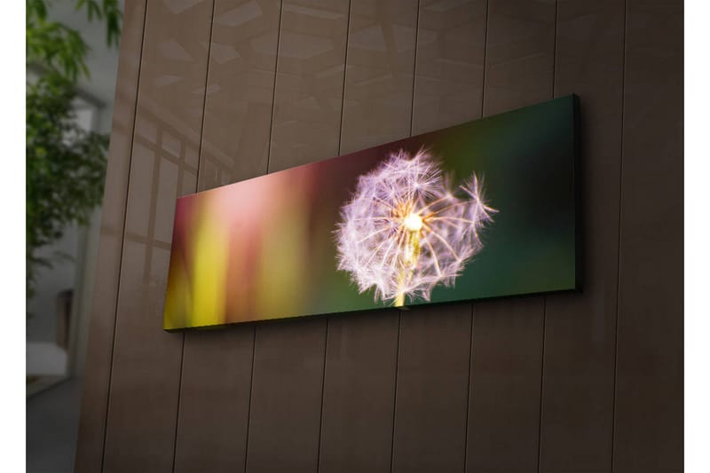 Koristeellinen Led valaistu Canvas Taulu - Sisustustuotteet - Taulu & taide - Canvas-taulu
