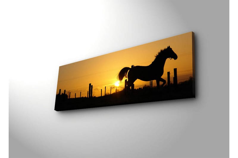 Koristeellinen Led valaistu Canvas Taulu - Sisustustuotteet - Taulu & taide - Canvas-taulu