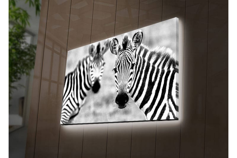 Koristeellinen Led valaistu Canvas Taulu - Sisustustuotteet - Taulu & taide - Canvas-taulu