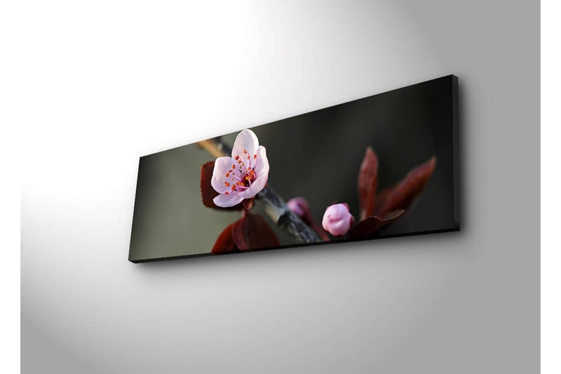 Koristeellinen Led valaistu Canvas Taulu - Sisustustuotteet - Taulu & taide - Canvas-taulu