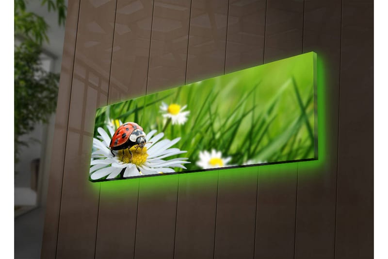 Koristeellinen Led valaistu Canvas Taulu - Sisustustuotteet - Taulu & taide - Canvas-taulu
