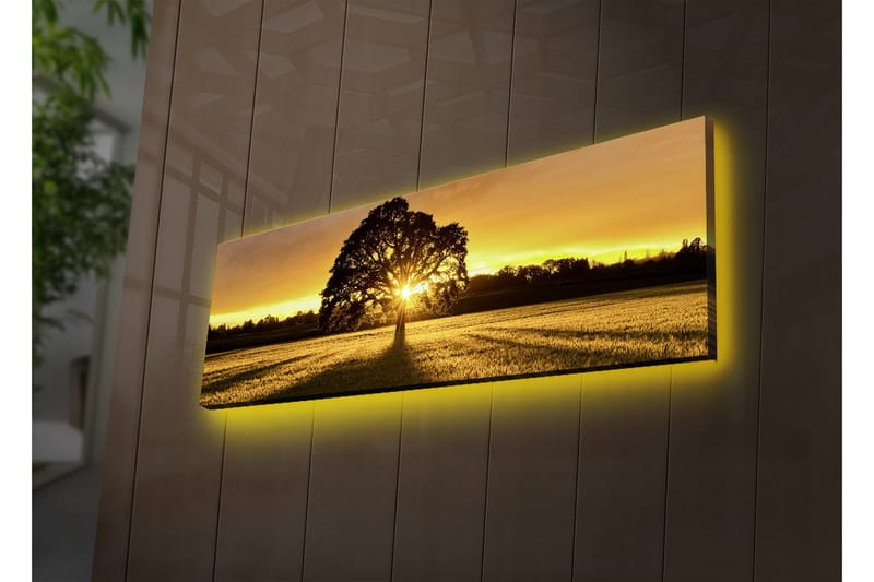 Koristeellinen Led valaistu Canvas Taulu - Sisustustuotteet - Taulu & taide - Canvas-taulu