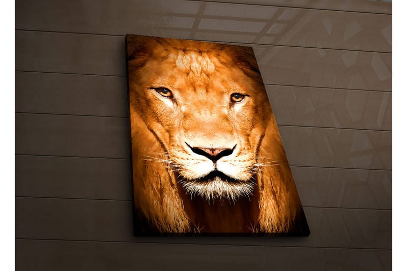 Koristeellinen Led valaistu Canvas Taulu - Sisustustuotteet - Taulu & taide - Canvas-taulu