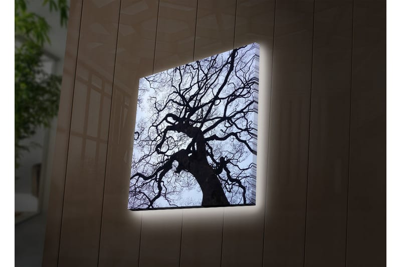 Koristeellinen Led valaistu Canvas Taulu - Sisustustuotteet - Taulu & taide - Canvas-taulu
