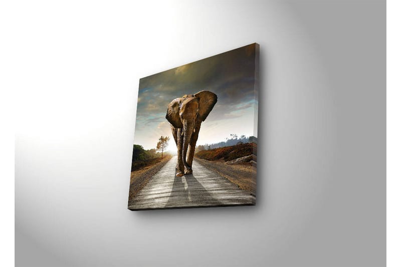 Koristeellinen Led valaistu Canvas Taulu - Sisustustuotteet - Taulu & taide - Canvas-taulu