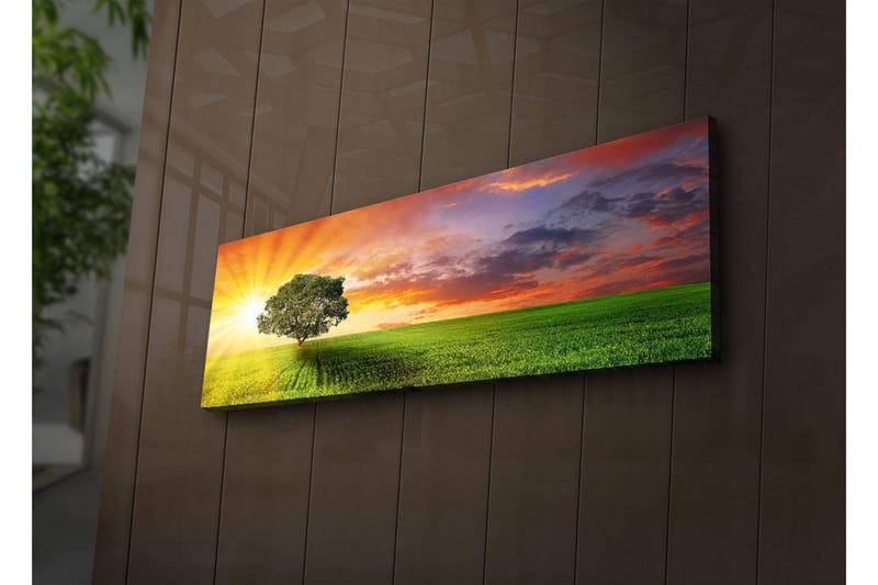 Koristeellinen Led valaistu Canvas Taulu - Sisustustuotteet - Taulu & taide - Canvas-taulu